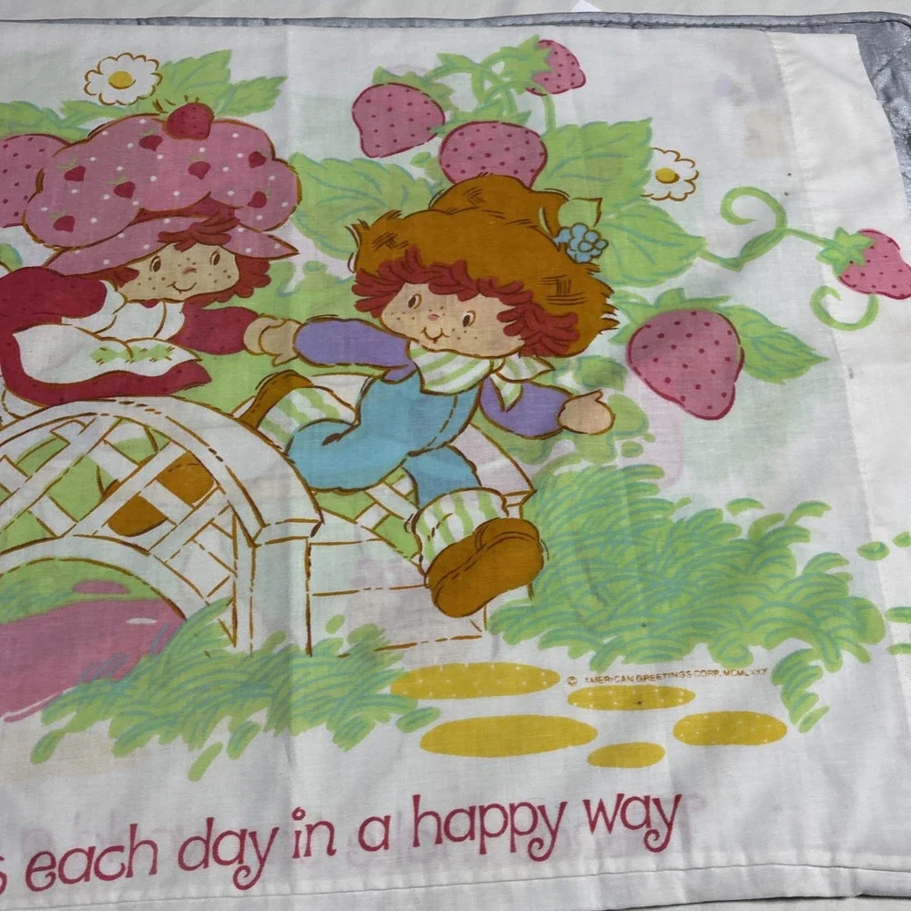 Strawberry Shortcake Pillowcase 1980 American Greetings Vintage Blueberry Muffin